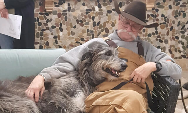Man and his large dog on a bench