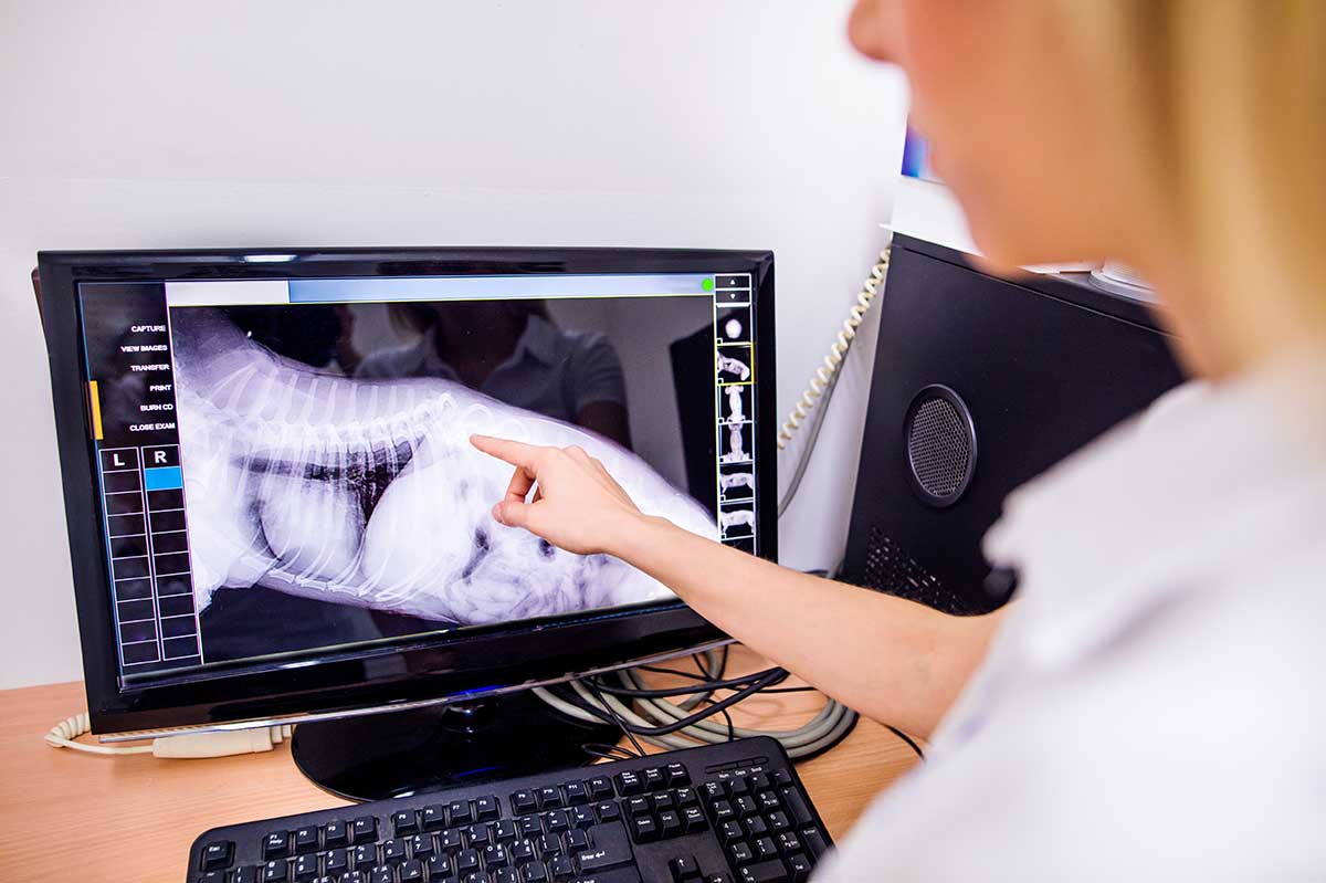 A patient's x-ray diagnostics